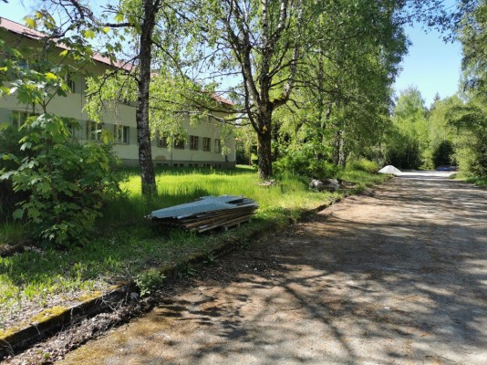 Foto 391