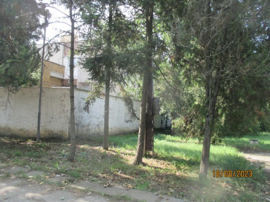 Foto 11
