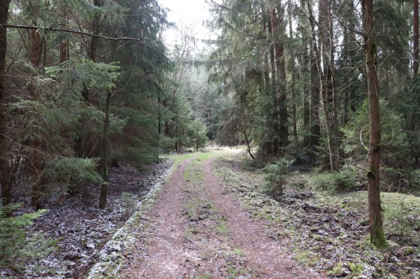 Foto 15