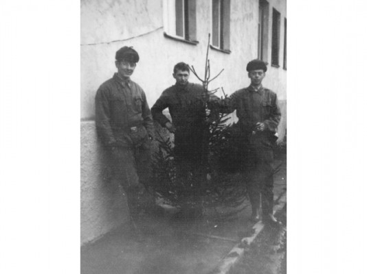 Foto 12