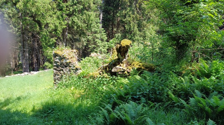 Foto 50