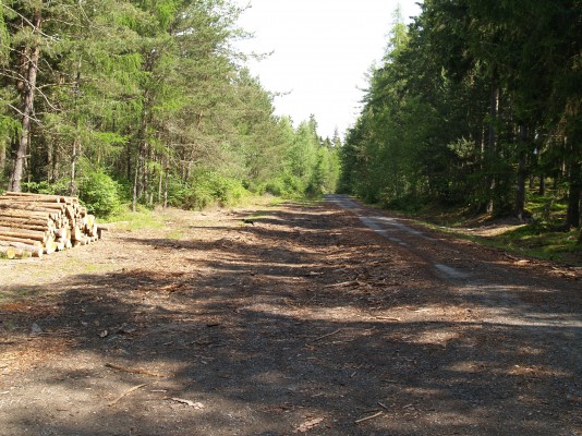 Foto 15
