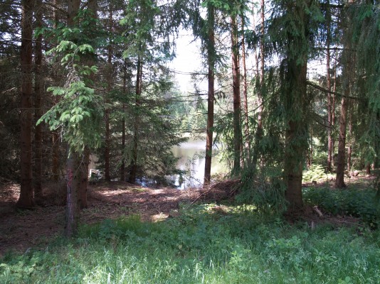 Foto 24