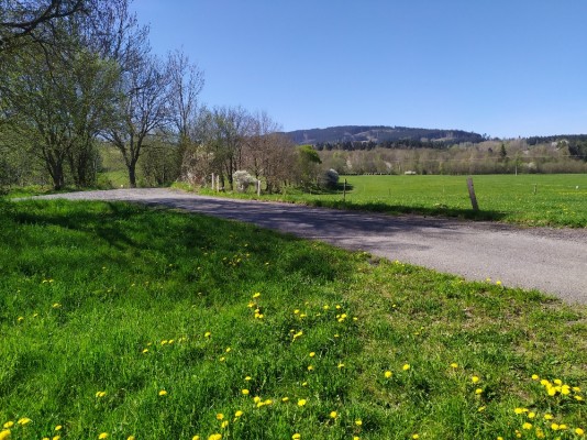 Foto 43