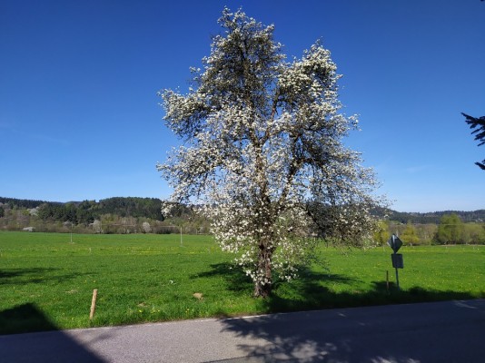 Foto 42