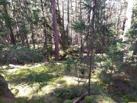 Foto 48