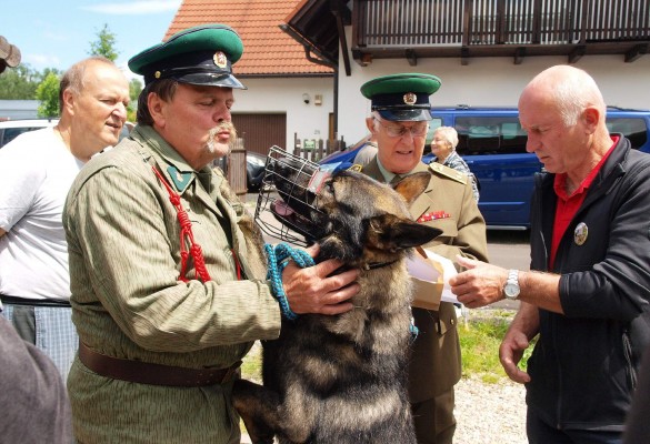 Foto 11