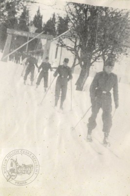 Foto 14