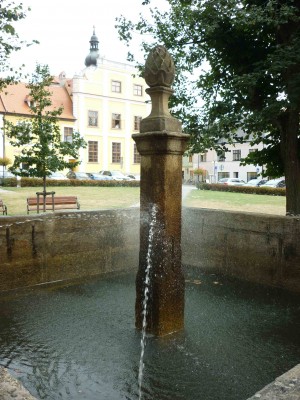Foto 7