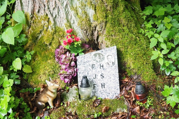 Foto 41