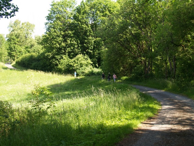Foto 31