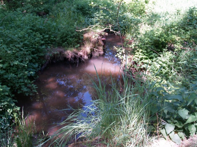 Foto 33