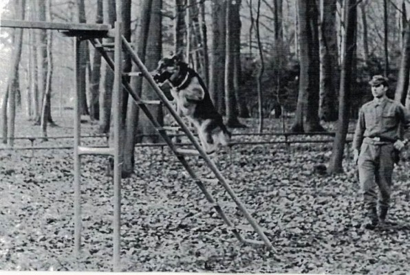 Foto 9