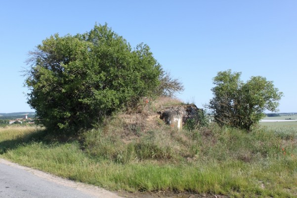 Foto 4