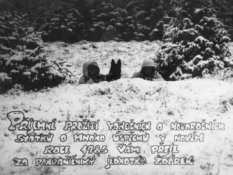 Foto 5