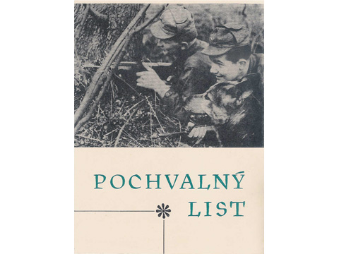 Foto 1