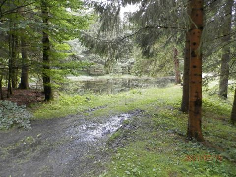 Foto 68